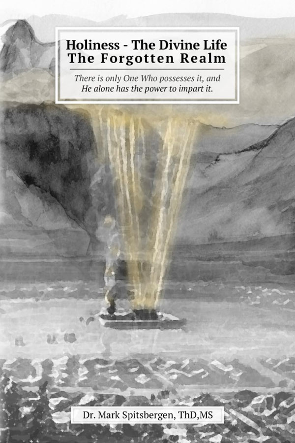 Holiness – The Divine Life book cover